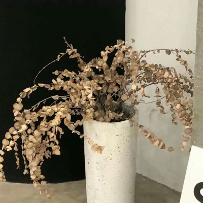 Furry数字绘画教程兽圈社群